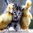 A pixelated cat with raised paws and open mouth appears on a black background, accompanied by yellow text reading 'I WAS RAISED BY A PACK OF WILD DUCKS.'