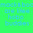 Green background with blue text reading "mack&bo are life hobo buddies" in a pattern, some sections highlighted by blue rectangles