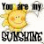 four and four shows a smiling sun icon with text "You are my SUNSHINE" beneath each, where the word "SUNSHINE" has varying letter colors