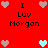 Red background with pixelated text and heart symbols; two of 'I Luv Morgan' flanked by light brown hearts, center changes from double light brown hearts to double cyan hearts