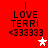 Red background displays four identical pixelated text blocks with "LOVE TERRI <333333" and a star symbol changing from white to pink.