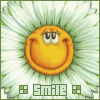 A flower-shaped icon with a smiling yellow face, white petals, and green accents, labeled 'Smile' beneath.