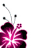 Pixelated pink and black flower with white highlights, featuring four petals and three stamen-like structures on a plain background.