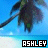 Pixelated beach scene with palm tree and blue sky, featuring 'ASHLEY' text in black-and-white on left frame and cyan outline on right frame.