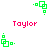Green pixelated square shapes with small dots animate around the name 'Taylor' in pink text on a white background.