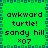 Green background with blue pixelated border, displaying repeated text 'awkward turtle! sandy hill x07' in black pixelated font.