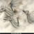 Animals icons for AIM, MSN, MySpace and Yahoo
