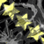 Three yellow stars with gradient shading float against a dark gray and black pixelated background, each star slightly offset from the others.