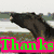 A four- of horse-related images with text overlays, each showing distinct horse poses and backgrounds
