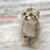 Animals icons for AIM, MSN, MySpace and Yahoo