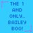 Blue background with repeated text "THE 1 AND ONLY.. BAILEY BOO!" in blue, surrounded by pink and purple star-shaped pixel decorations.