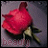 iconhell_makeupqueen5_beauty