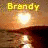 Animated icon shows a heart-shaped light over water with changing text: 'Brandy' at top, then 'and', then 'Zac Efron' below.