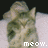 Pixelated cat face with greenish-brown fur, dark eyes, and white text reading 'meow.' at the bottom right.