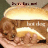 A small brown dog lies under a golden-brown hot dog bun held by hands, with text reading 'Don't Eat me!' and 'hot dog' visible on the image.