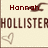 Pixelated image with red 'Hannah' text, brown 'HOLLISTER' text, and a heart symbol on beige background.