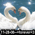 Two swans with white feathers and orange beaks form a heart shape against a blue background, with pixelated text at the bottom.