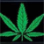Green pixelated cannabis leaf icon on black background with no visible text or additional elements.