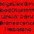 Red background with black text repeating 'BoysLikeGirl', 'GoodCharlotte', 'Linkin Park', 'Bvanesccenc', and 'Timbaland' in horizontal , some words highlighted by yellow rectangular overlays