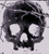 Pixelated grayscale skull icon with large white eye sockets and a small nose cavity, set against a light gray background.