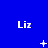 Blue background with white text "Liz" repeated in a pattern, accompanied by small white pixelated symbols that change across frames