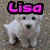 A static image of a white dog with pink text reading "Lisa" overlaid in three different positions.