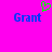 Bright pink background with two blue 'Grant' text icons and a green pixelated heart above the left icon.
