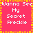 A static pixel art image with a bright pink background, yellow border, and white text reading "Wanna See My Secret Freckle" repeated in a pattern