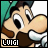 A 6-frame animated contact sheet of Luigi's face with subtle eye and mouth movements, each frame labeled "LUIGI" in pixelated text below the character.