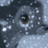 Pixelated cartoon owl with large brown eyes and gray feathers, featuring the text 'Bambi' in black block letters on its right side.