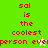 Green and white pixelated text displays 'sal is the coolest person ever' with a cursor changing from star to green figure.