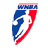A pixelated shield-shaped icon with blue and red sections, a white star on the left, and partial text at the top.