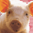 iconhell_pinkpanda_donteatmepp04