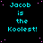 Pixelated cyan text "Jacob is the Koollest!" repeated across a black background with scattered pink dots, one gray rectangle in bottom-right corner.