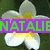 Four distinct pixelated images arranged in a , each with overlaid text and unique visual elements