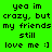 Green background with black pixelated text reading 'yea im crazy, but my friends still love me :]' and a pink highlight on the word 'my' in the second