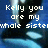 Pixelated blue background with white text reading "Kelly you are my whale sister" and a heart symbol, transitioning to "luv ya girlie".