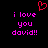 A static pixel art image with a black background, pink text reading 'i love you david!!', and a red heart symbol above the text.