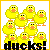 Pixelated yellow ducklings with orange beaks and feet arranged in a grid, below which black text reads 'ducks!' on white background.
