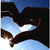 A pixelated static image shows a dark silhouette of an orca whale against a blue sky with light clouds, its body angled diagonally across the frame.