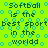 Bright green background with blue circular patterns and repeated text stating "Softball is the best sport in the world" in dark green pixelated font.