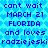 Pixelated blue background with repeating heart pattern and dark blue text reading 'cant wait MARCH 21 FLORIDA and loves radziejeski radziejeski' in two identical vertical