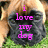 A four- shows a dog's face with changing text overlays: 'i love my dog', 'i love my family', and 'i love my friends'