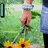 A pixelated image shows a person holding sunflowers with text overlays reading "I Love You Dylan" in blue letters.