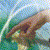 Pixelated image of a brown object with dark accents against a green and blue background with light streaks.