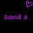 Purple pixelated heart above two identical purple text lines reading 'David Jr.' on a black background.