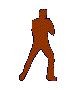 Brown silhouette of a martial artist in various poses on a gray background, including stances, punches, kicks, and defensive positions.