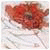 A static pixelated image shows a red and brown abstract shape against a light gray background with scattered darker pixels.