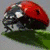 A four- with a ladybug on a leaf, blue background text, red background text, and a green splat