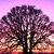 Pixelated tree with purple foliage against a pink sky, next to green background with white text reading 'be careful i might attack!!'